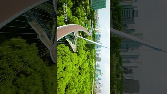 하늘을 훨~ 훨~ 나는 오세훈?! 폼 미쳤다ㄷㄷ